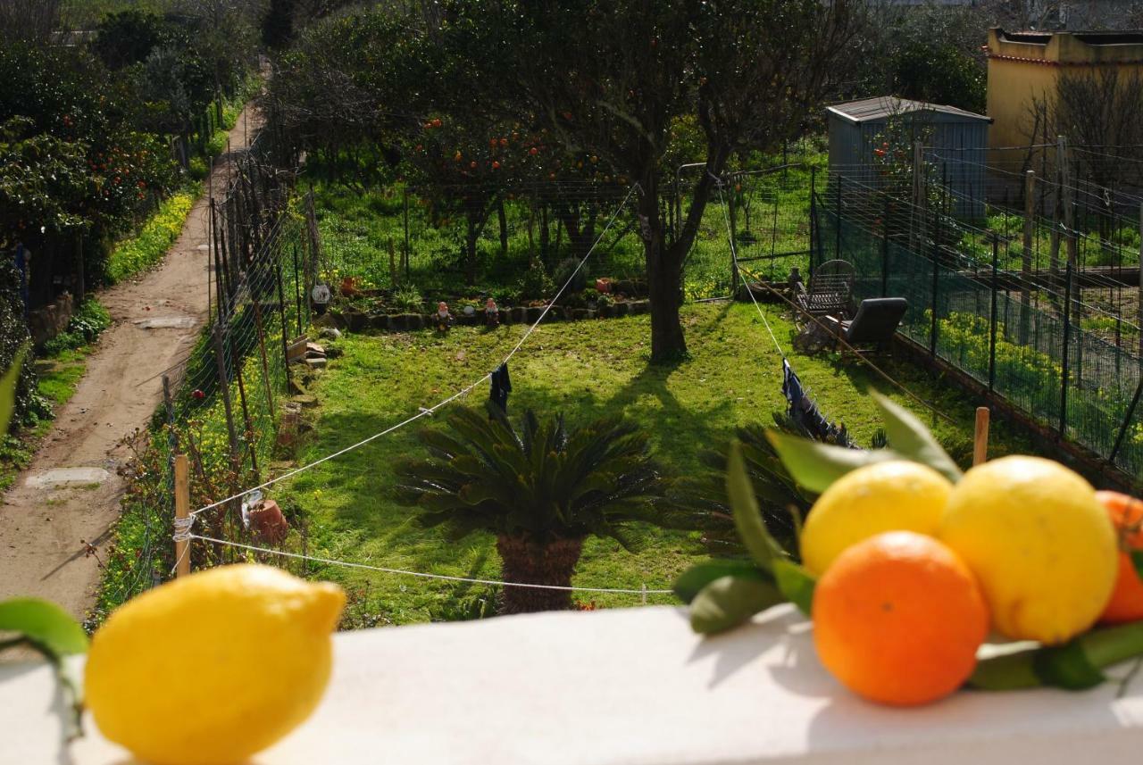Green Island Apartment Procida Extérieur photo